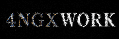 4NGX WORK